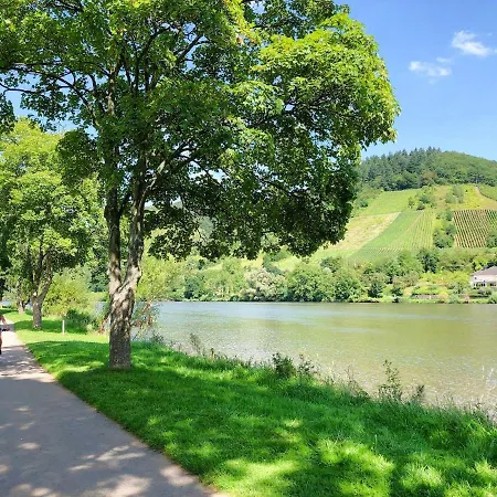 Am Moselradweg Zell an der Mosel