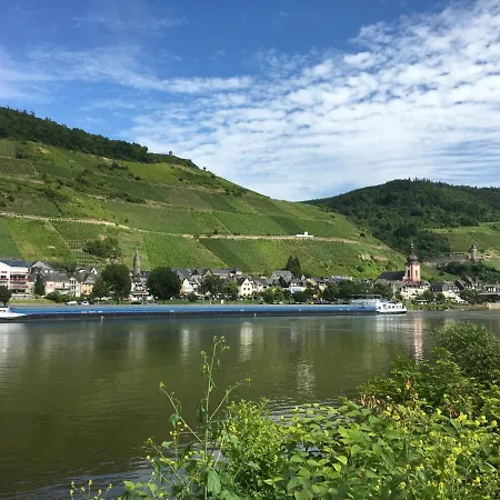 Apartment Am Moselradweg Zell an der Mosel