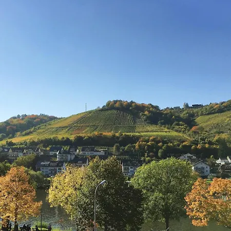 Apartment Am Moselradweg Zell