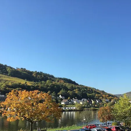 Am Moselradweg * Zell