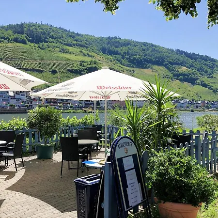 Am Moselradweg Zell an der Mosel