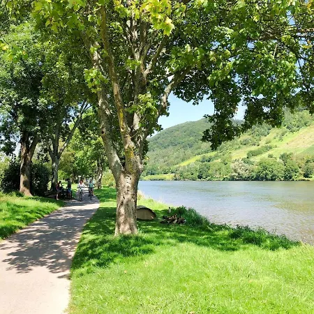 Am Moselradweg Apartment Zell