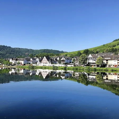 Am Moselradweg Zell an der Mosel