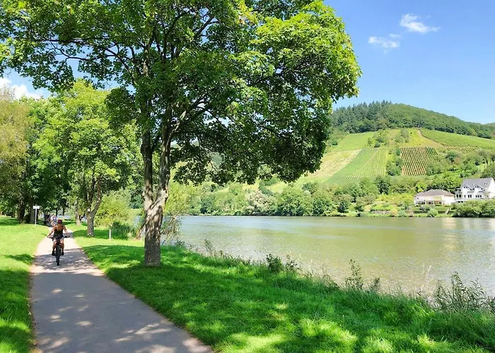 Am Moselradweg Zell an der Mosel