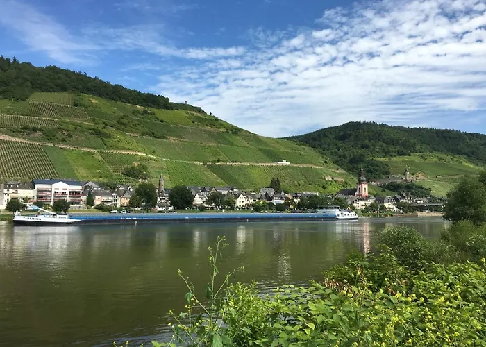 Apartamento Am Moselradweg Zell an der Mosel