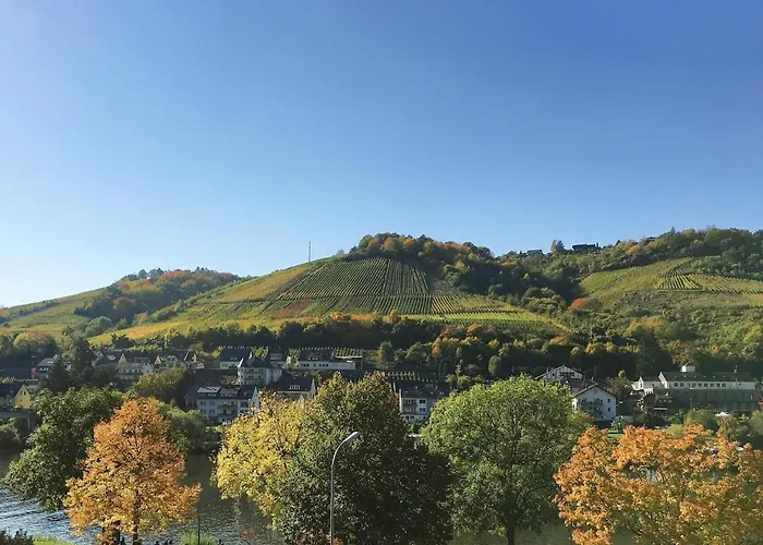 Apartamento Am Moselradweg Zell an der Mosel