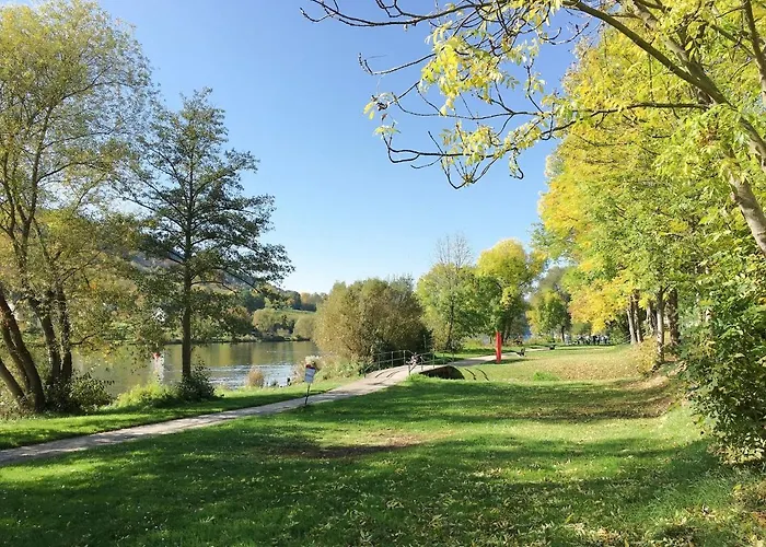 Am Moselradweg Zell an der Mosel
