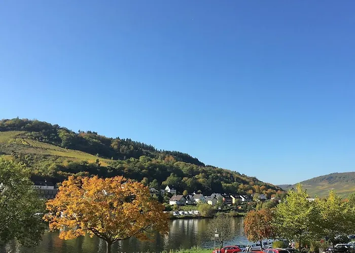 Am Moselradweg * Zell an der Mosel