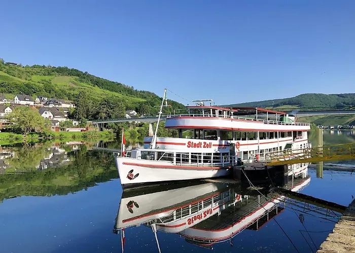 Am Moselradweg Zell an der Mosel