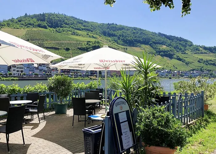 Am Moselradweg Zell an der Mosel