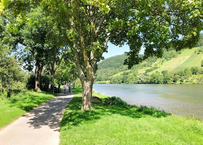 Am Moselradweg Daire Zell an der Mosel