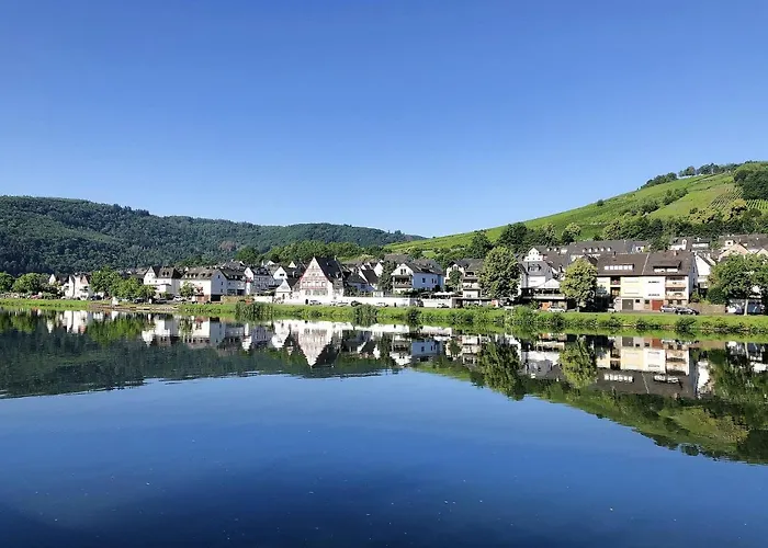 Am Moselradweg Zell an der Mosel